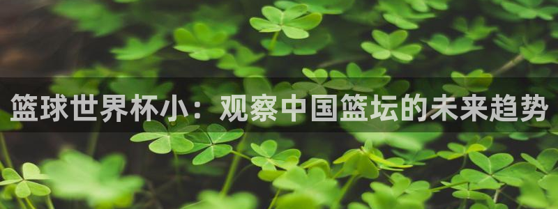 世界杯欧洲预选赛赛程：篮球世界杯小：观察中国篮坛的未来趋势