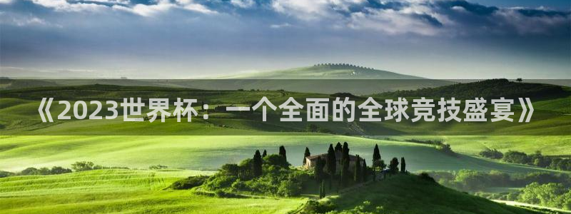 世界杯附加赛赛程表：《2023世界杯：一个全面的全球竞技盛宴》