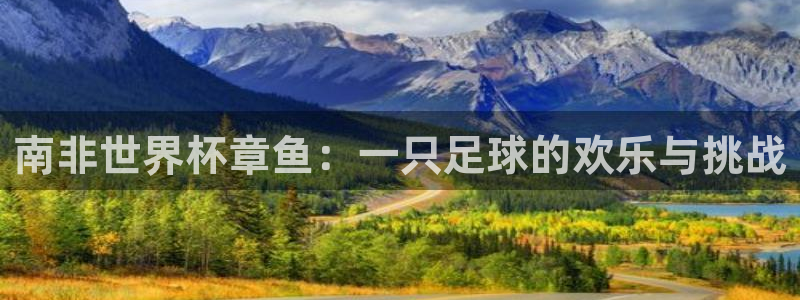 世界杯决赛圈球队：南非世界杯章鱼：一只足球的欢乐与挑战