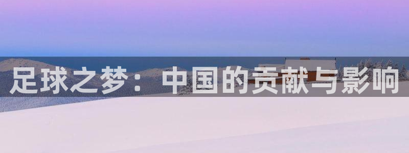 世界杯预选赛欧洲：足球之梦：中国的贡献与影响