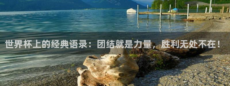 欧联杯直播：世界杯上的经典语录：团结就是力量，胜利无处不在！