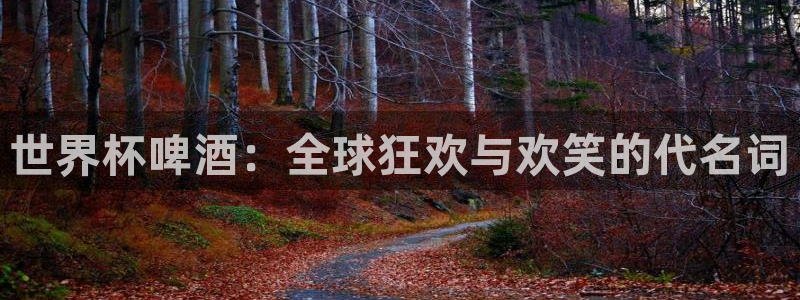世界杯欧洲预选赛：世界杯啤酒：全球狂欢与欢笑的代名词