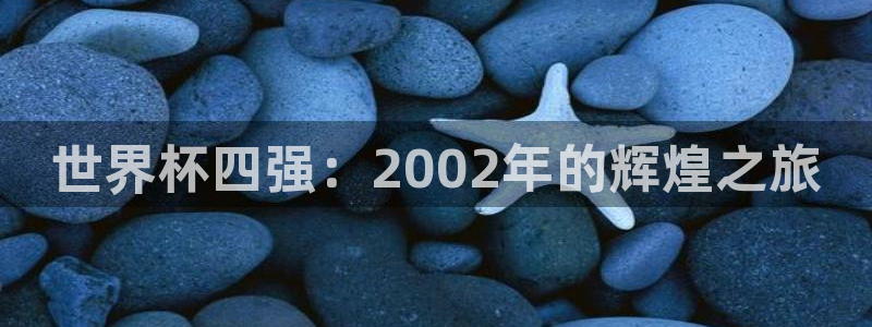 世界杯比赛时间：世界杯四强：2002年的辉煌之旅