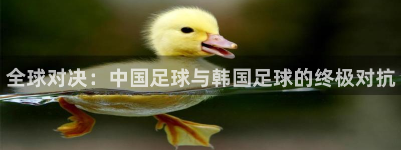 世界杯 中国：全球对决：中国足球与韩国足球的终极对抗