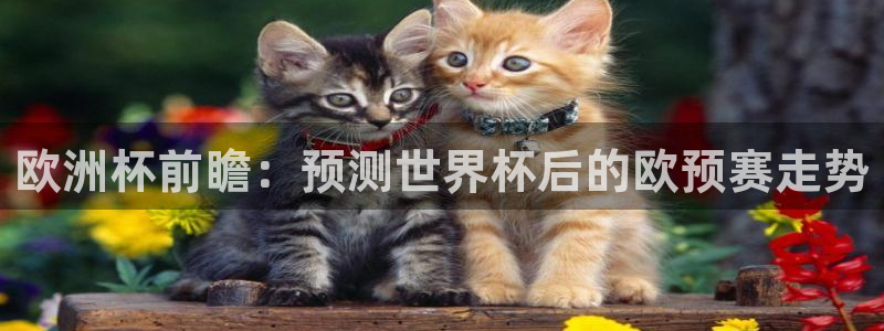 2026世界杯赛程：欧洲杯前瞻：预测世界杯后的欧预赛走势