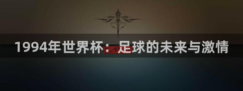2026世界杯直播免费观看：1994年世界杯：足球的未来与激情