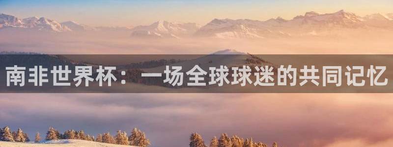 世界杯足球比赛：南非世界杯：一场全球球迷的共同记忆