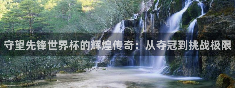 美国世界杯：守望先锋世界杯的辉煌传奇：从夺冠到挑战极限