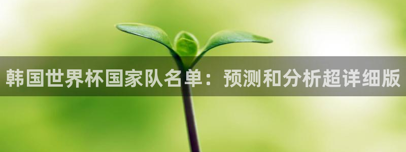 世界杯欧洲区赛程：韩国世界杯国家队名单：预测和分析超详细版