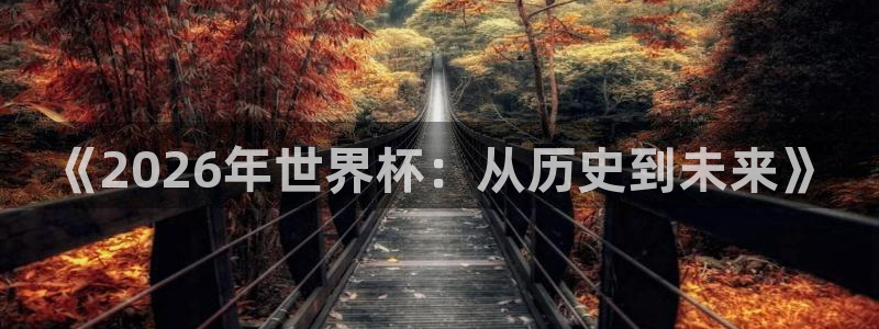 世界杯2026比赛时间表：《2026年世界杯：从历史到未来》