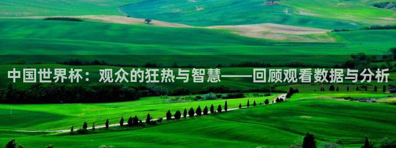 世界杯赛程时间表：中国世界杯：观众的狂热与智慧——回顾观看数据与分析