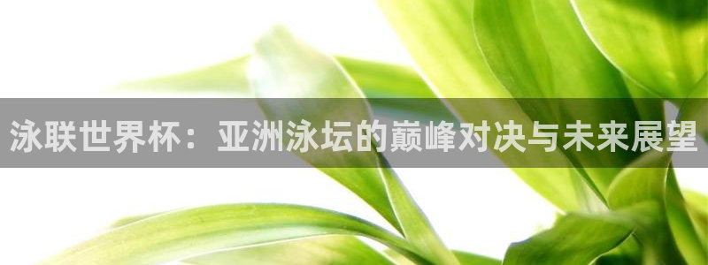 足球世界杯：泳联世界杯：亚洲泳坛的巅峰对决与未来展望