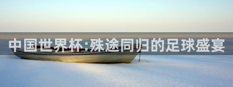 2026年世界杯直播平台：中国世界杯:殊途同归的足球盛宴