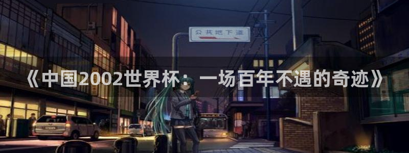 2026世界杯赛：《中国2002世界杯：一场百年不遇的奇迹》